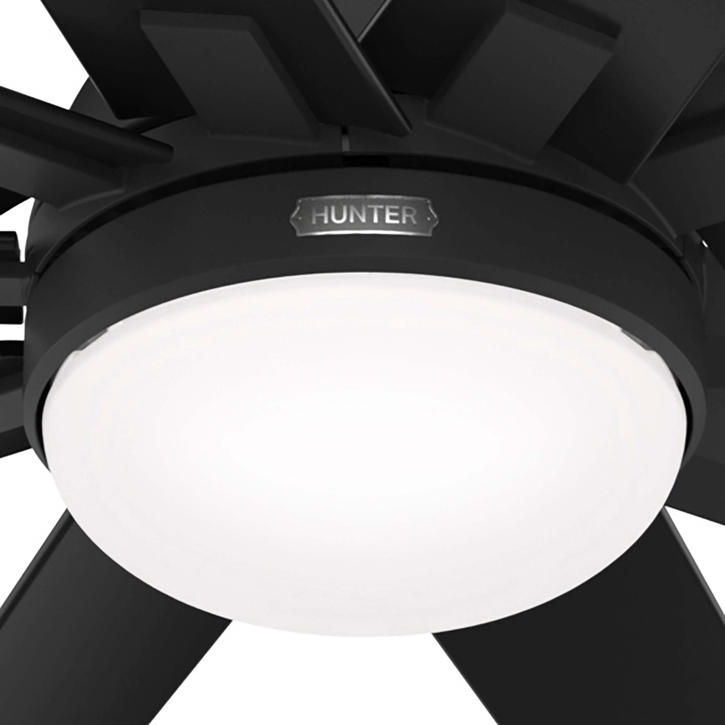 Hunter 52618 Ceiling-Fans - View #11