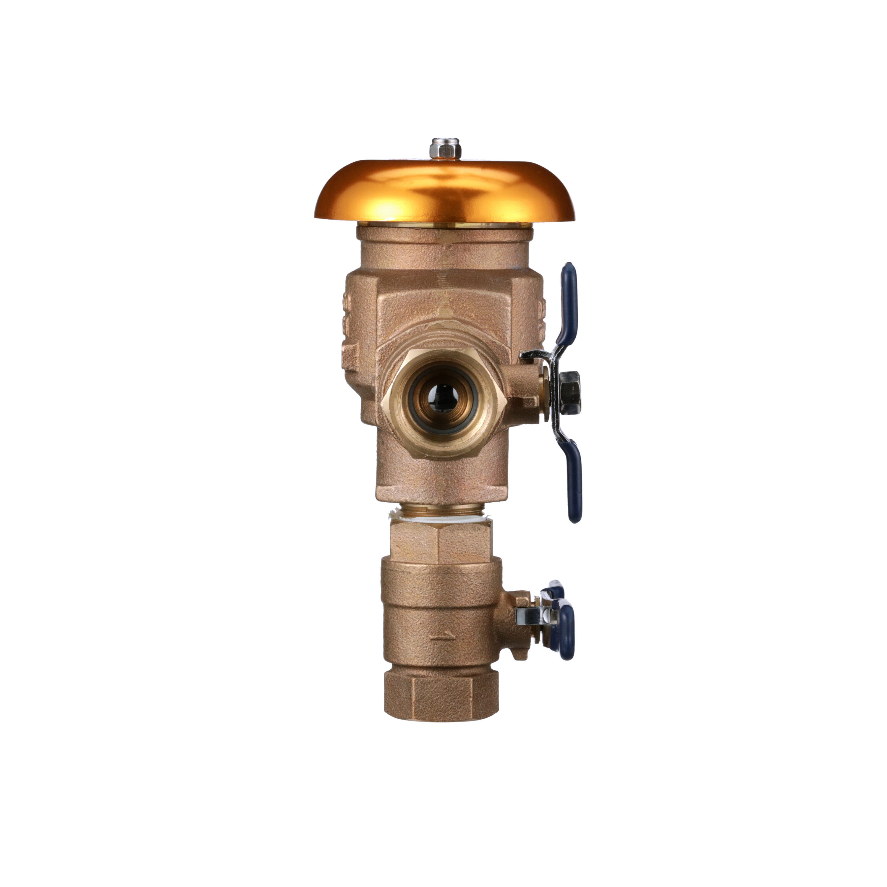 FEBCO 1-in Bronze FNPT Pressure Vacuum Breaker In The Backflow ...