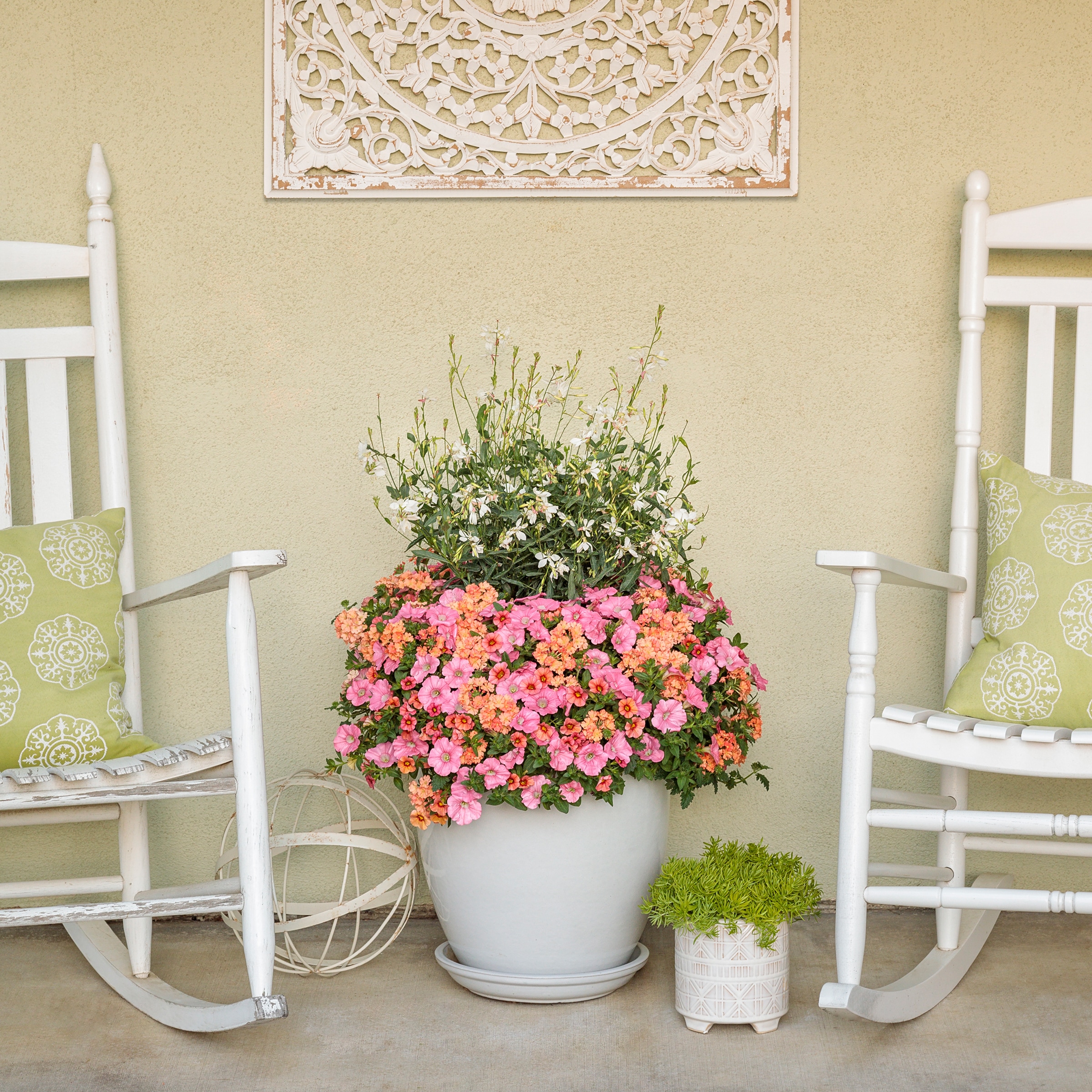 Ready Refill 5269022 annuals - View #2