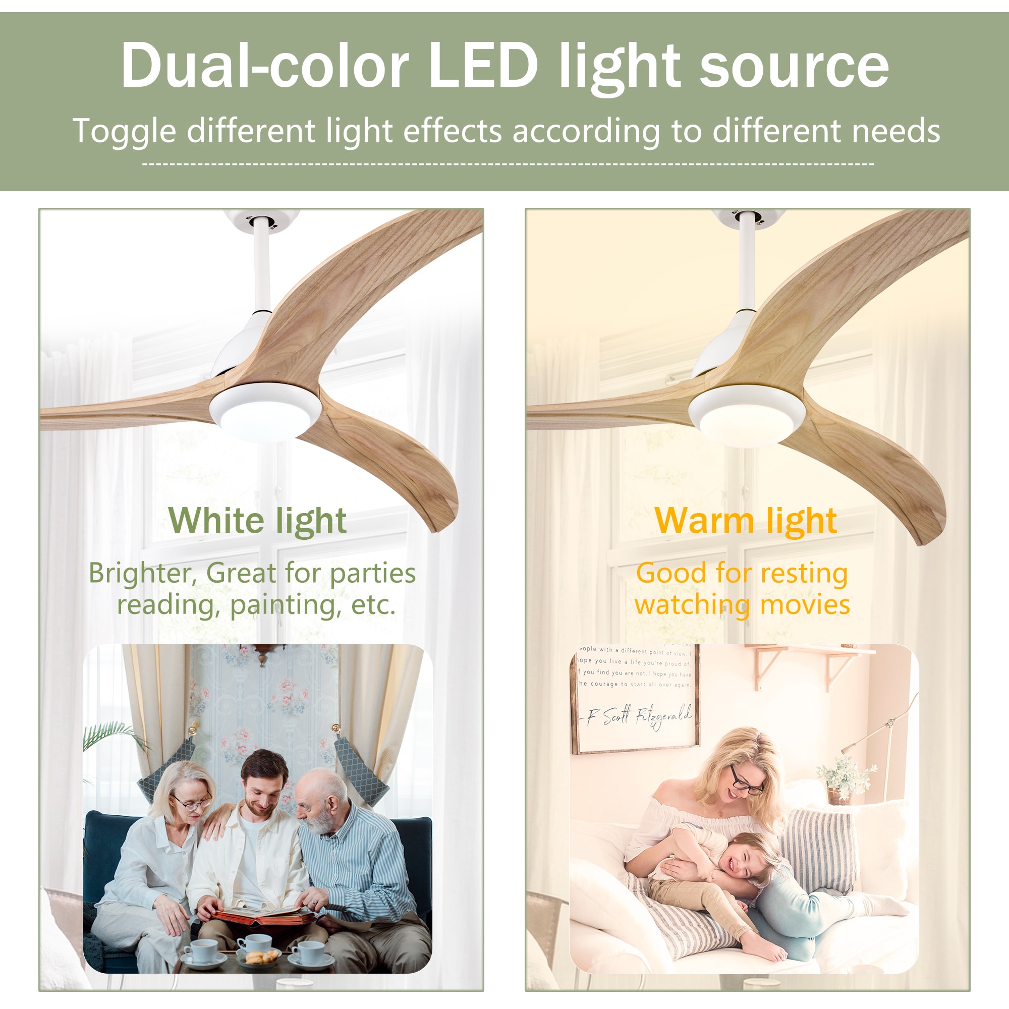 LTMATE LSY52EDC5003R-WH Ceiling-Fans - View #6