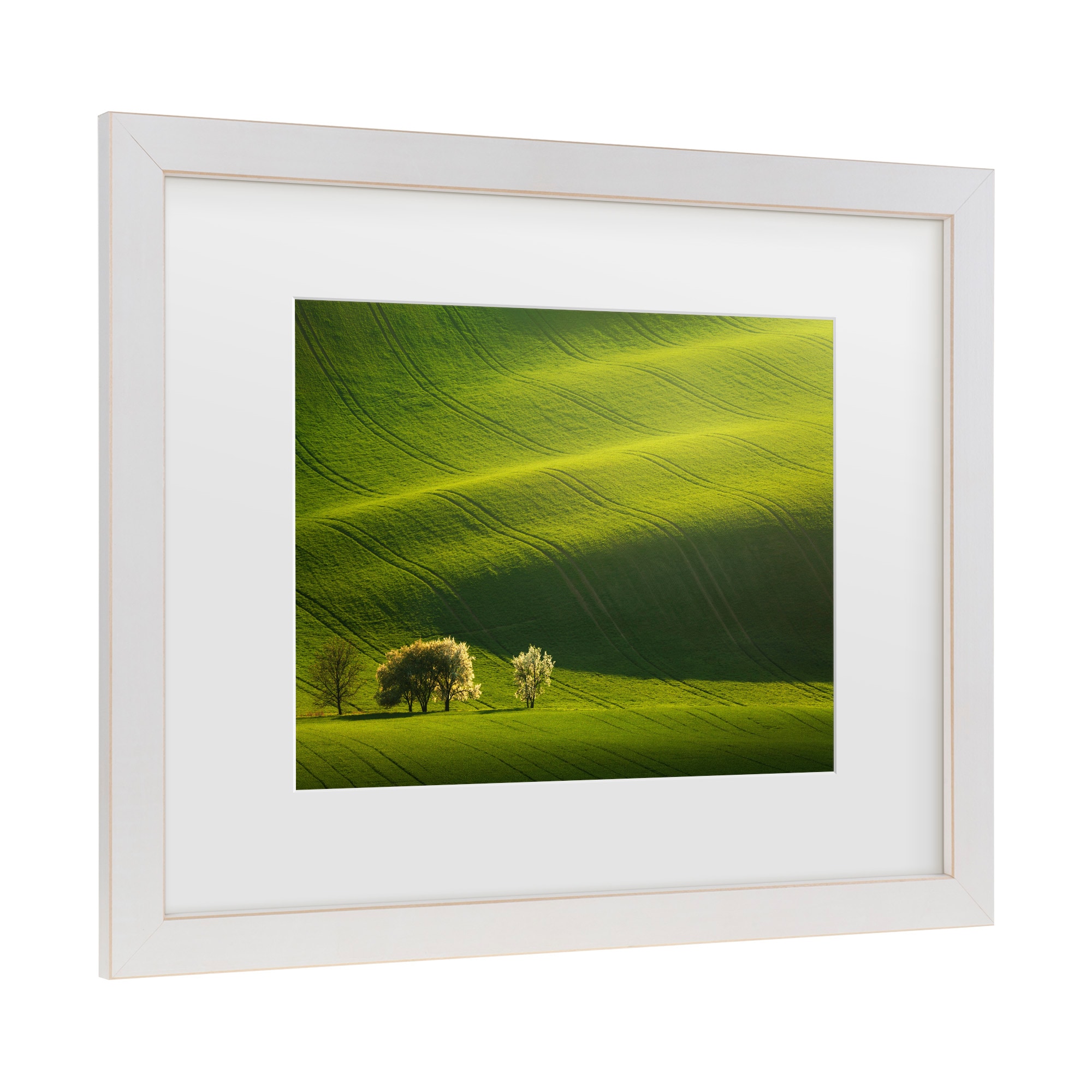 Trademark Fine Art 1X10882-E1620MF Wall-Art - View #3
