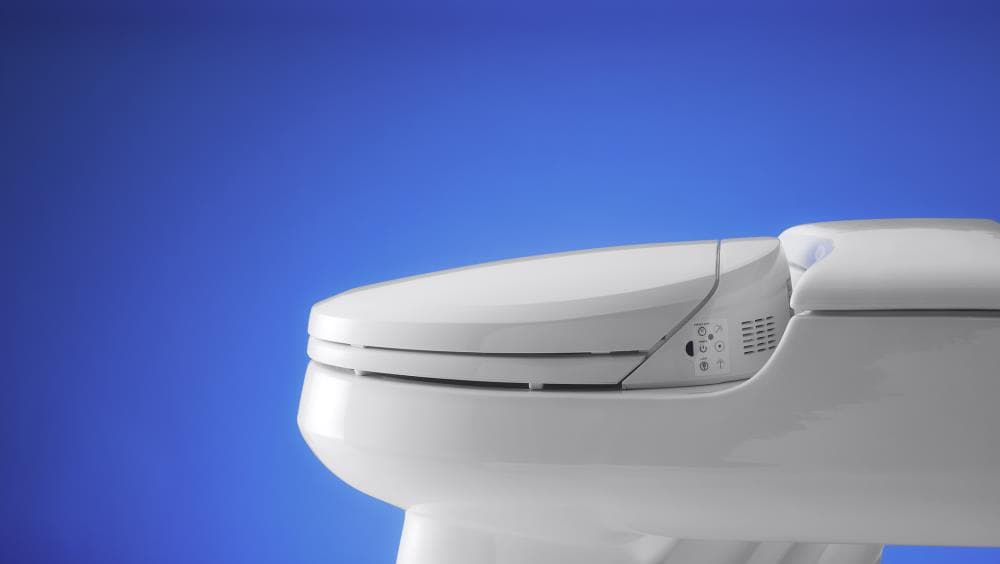 KOHLER White Bidet Toilet Seat At Lowes.com