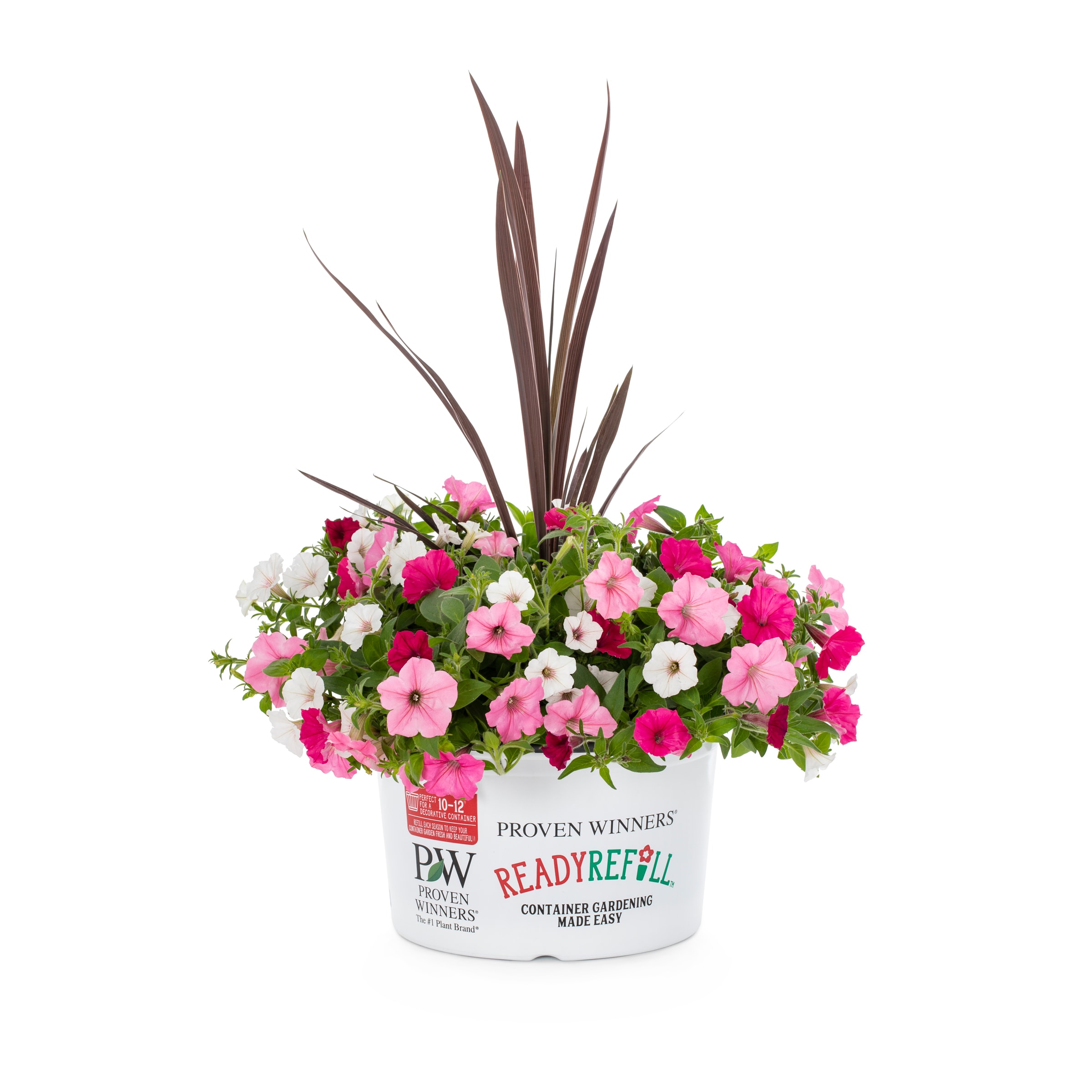Ready Refill NURSERY Multicolor Above and Beyond in 1.5-Gallon Pot