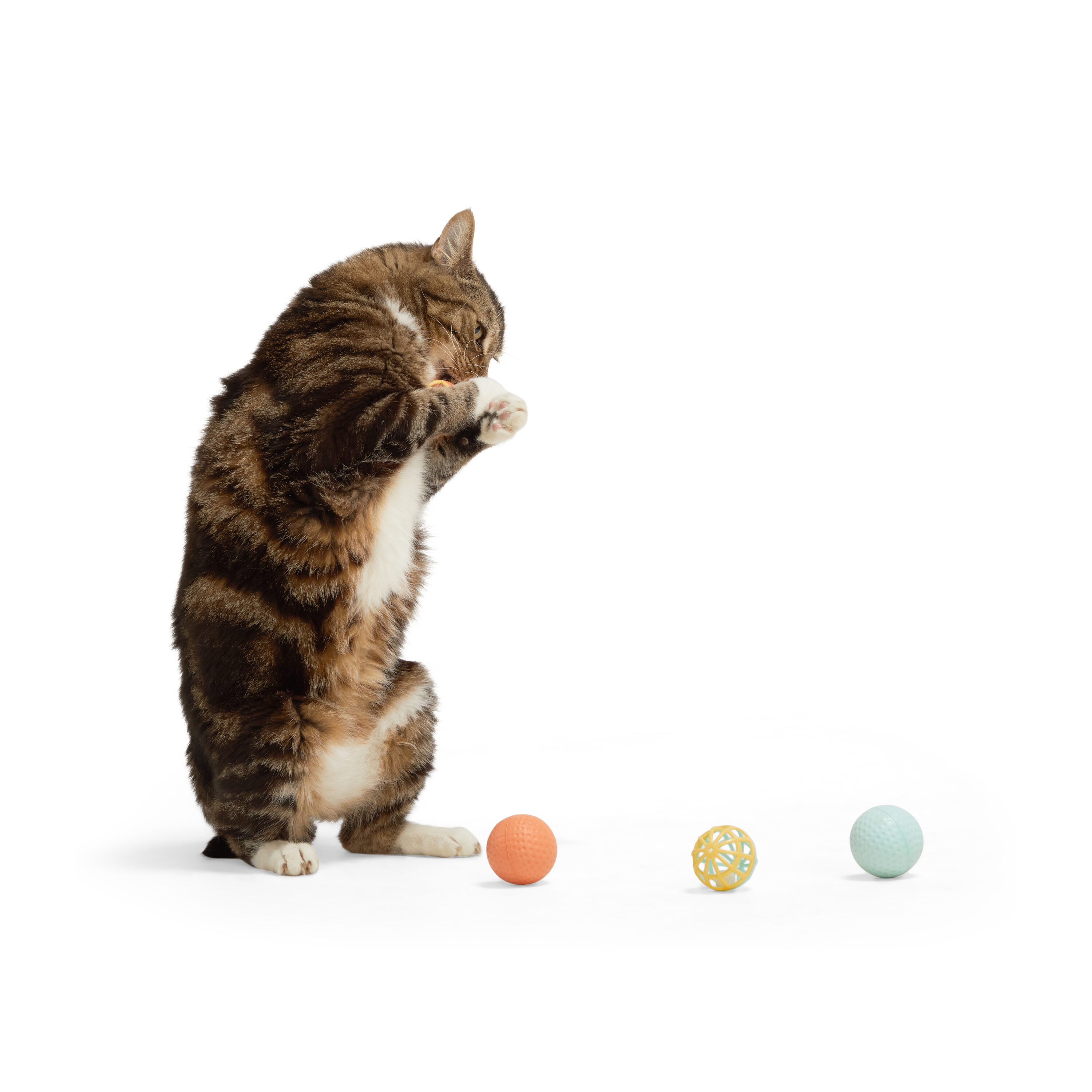 Leaps & Bounds 3528396 Dog-Toys - View #3