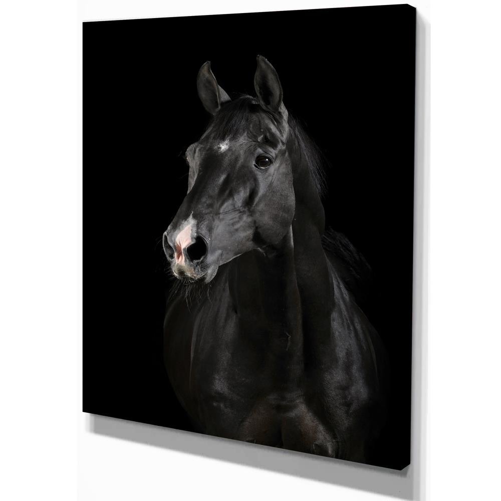 Black horse portrait - ArtDesigne999 - Paintings & Prints, Animals