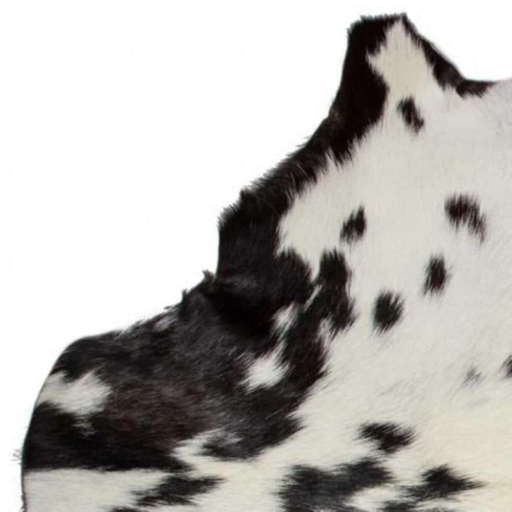 HomeRoots 316981 rugs - View #5