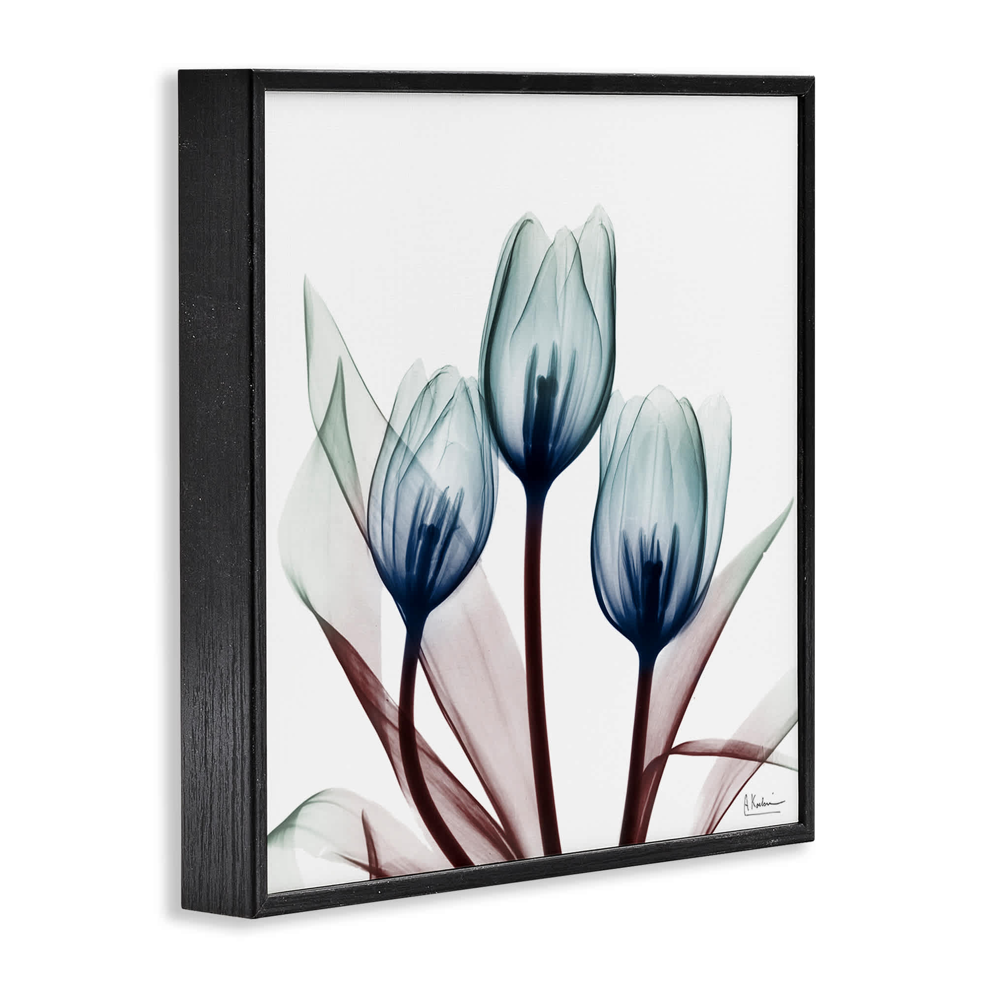 Stupell Industries BS-015-FR-12X12 Wall-Art - View #2