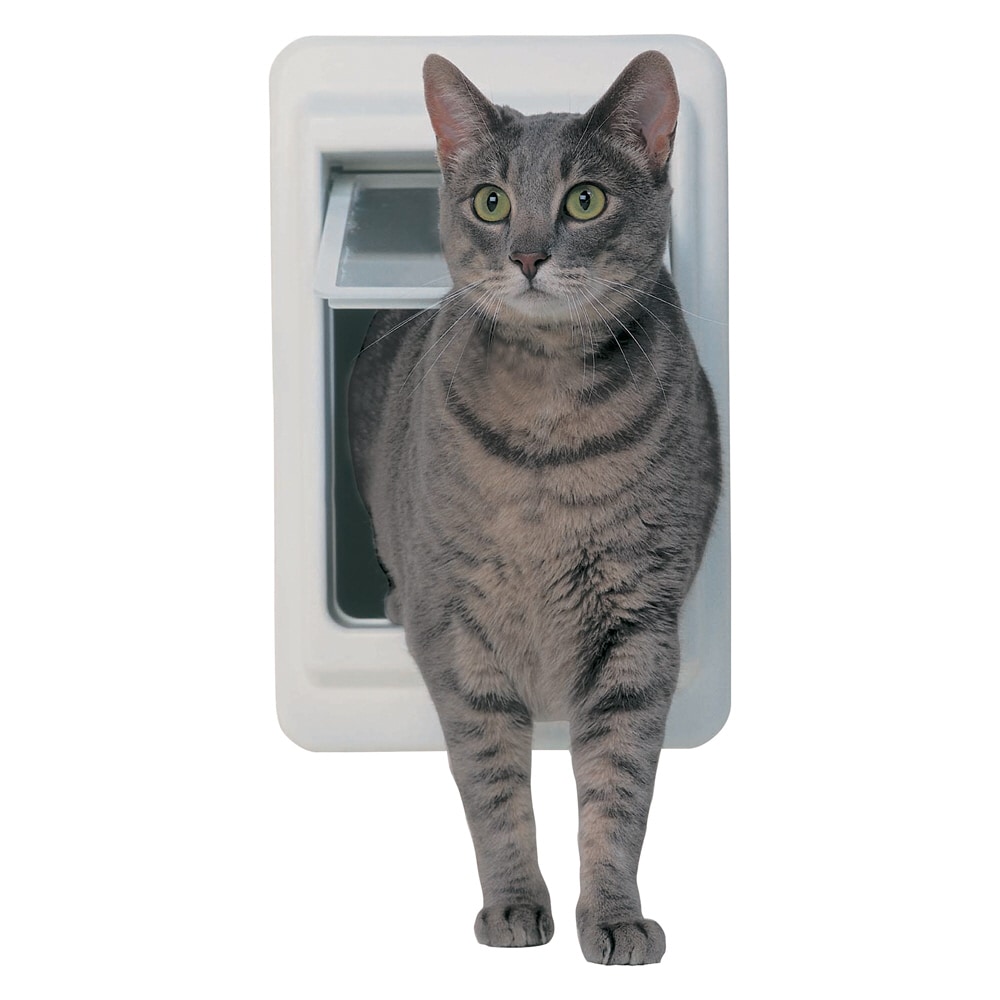 Ideal Pet Products CK Pet-Doors - View #3