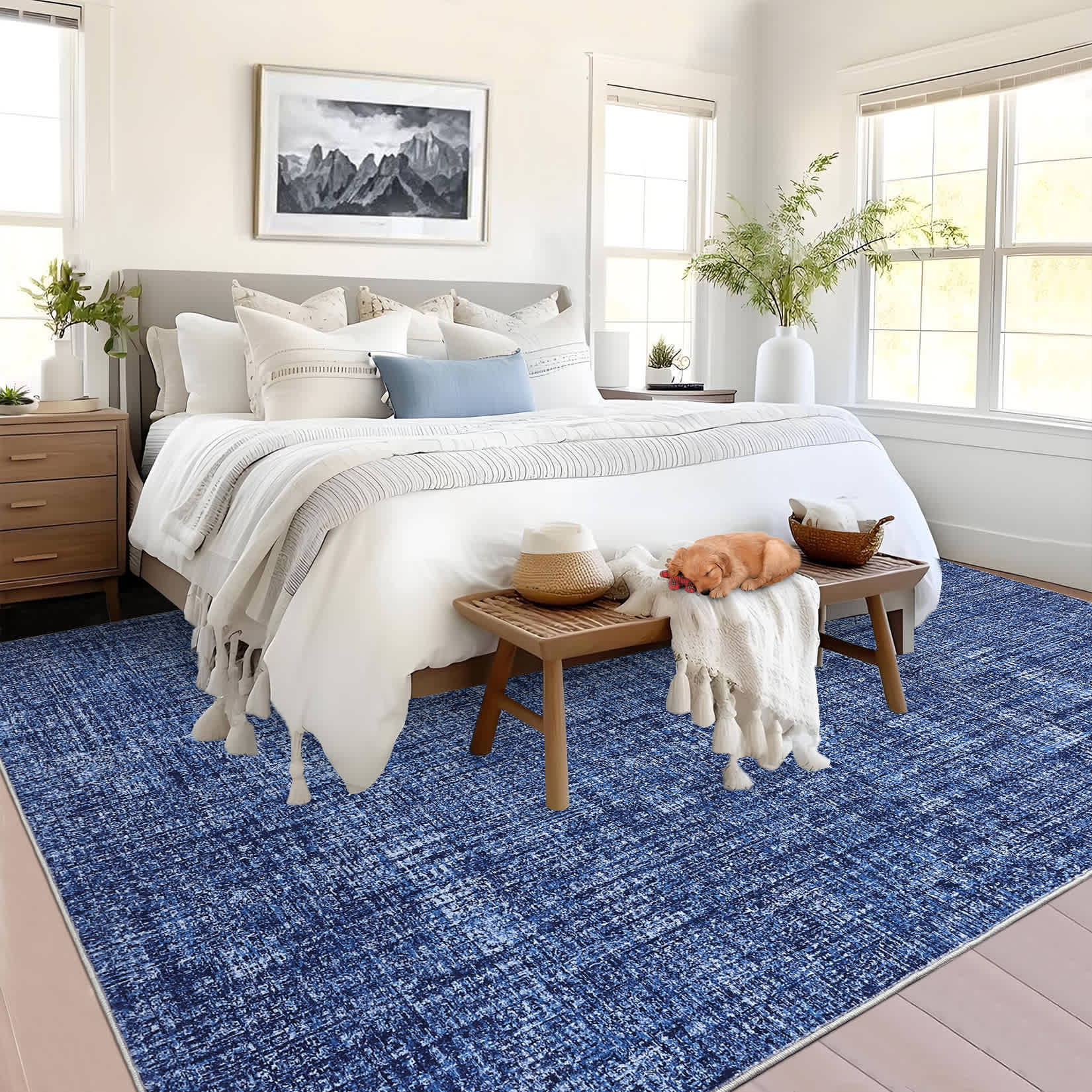 Qeetex SUNNY-PHK-33PDQCNE rugs - View #4