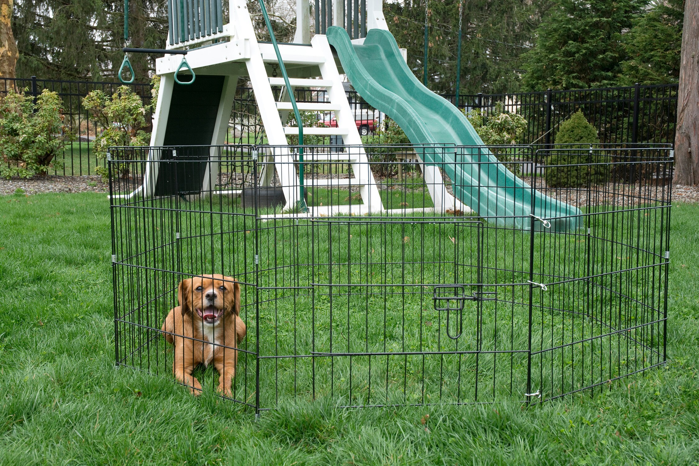 Iconic Pet 92143 Pet-Crates-Carriers - View #3