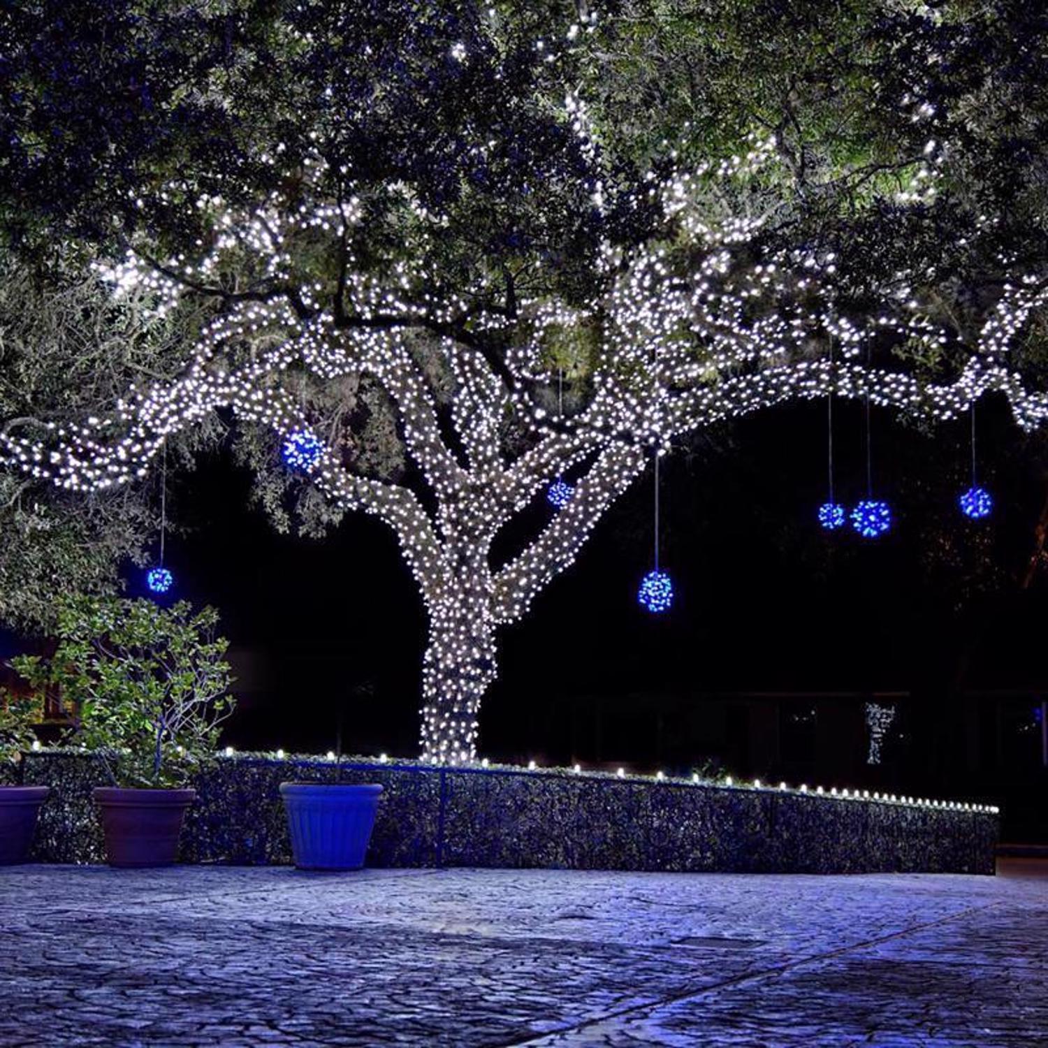 Celebrations EJD9086399 Christmas-String-Lights - View #3