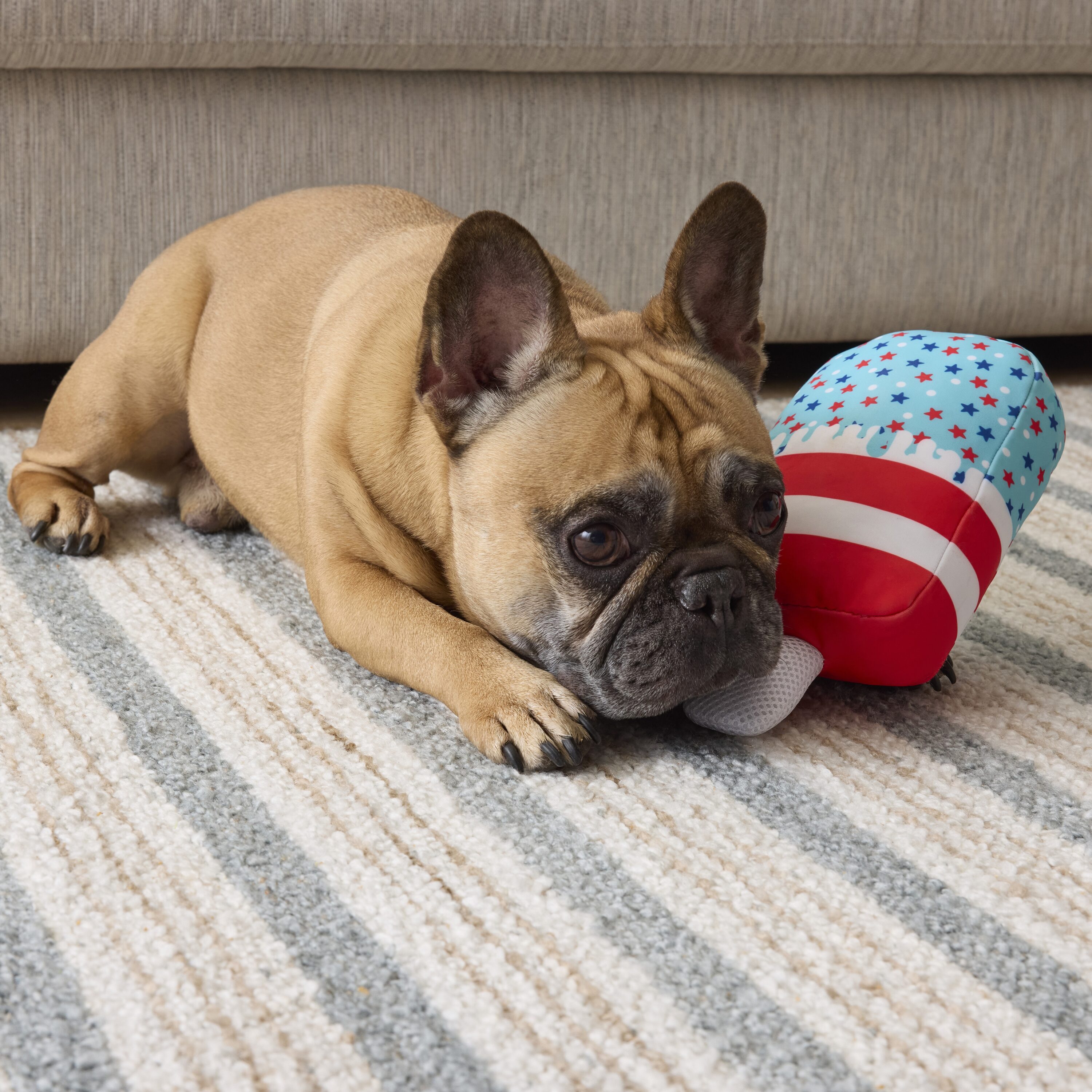 Heart & Herd YC26402 Dog-Toys - View #4
