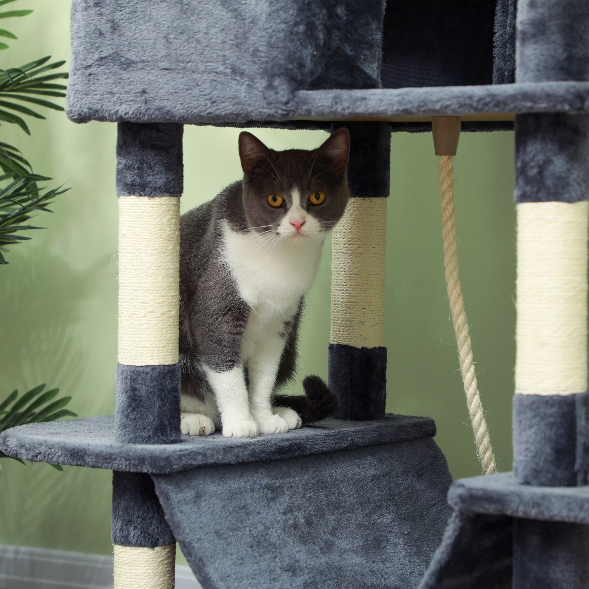 PawHut D30-873V00CG Cat-Trees - View #8