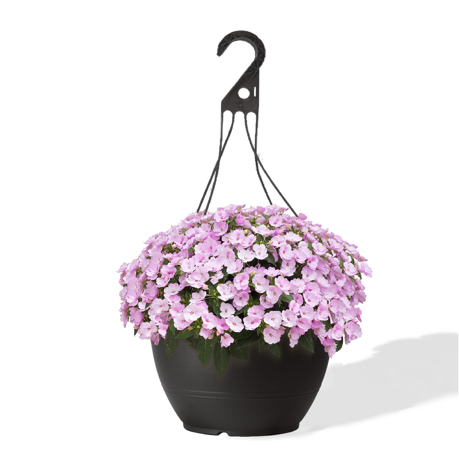 Style Selections HG2132M Planter-Window-Box - View #2