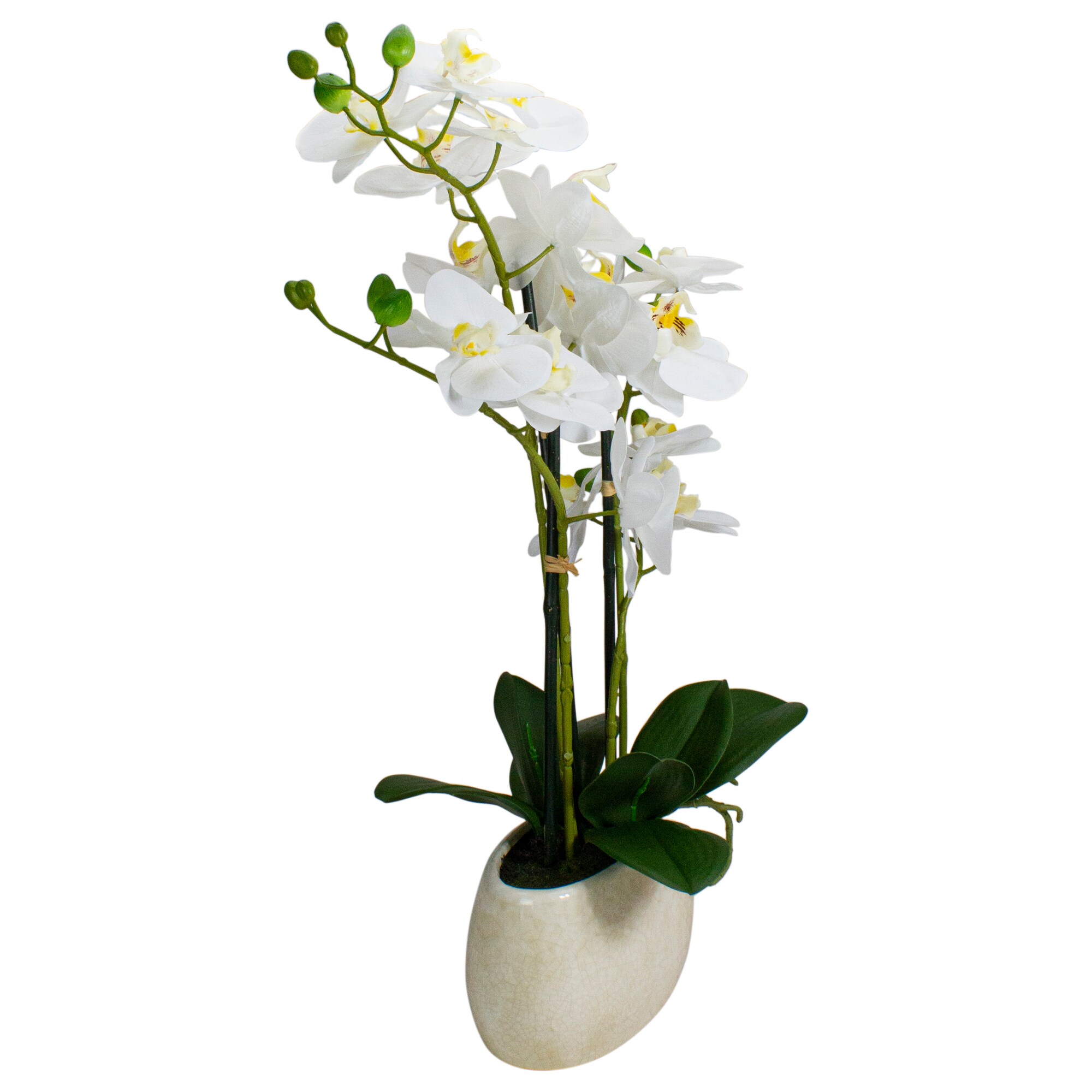Northlight 34219756 Artificial-Plants-Trees - View #6