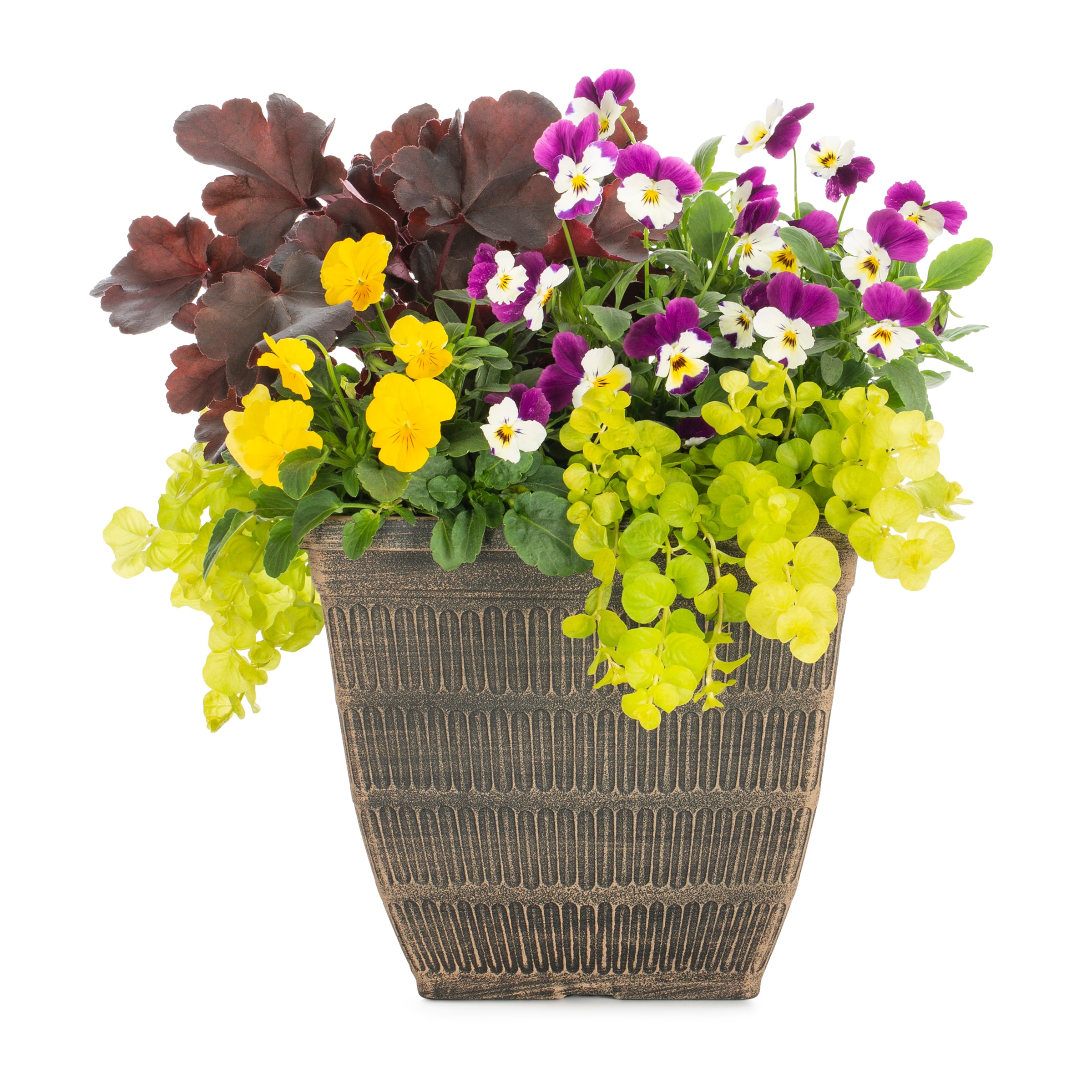 Lowe's NURSERY Multicolor Mixed Annuals Combo in 1.5 Gallon(s) Planter 1 -Pack