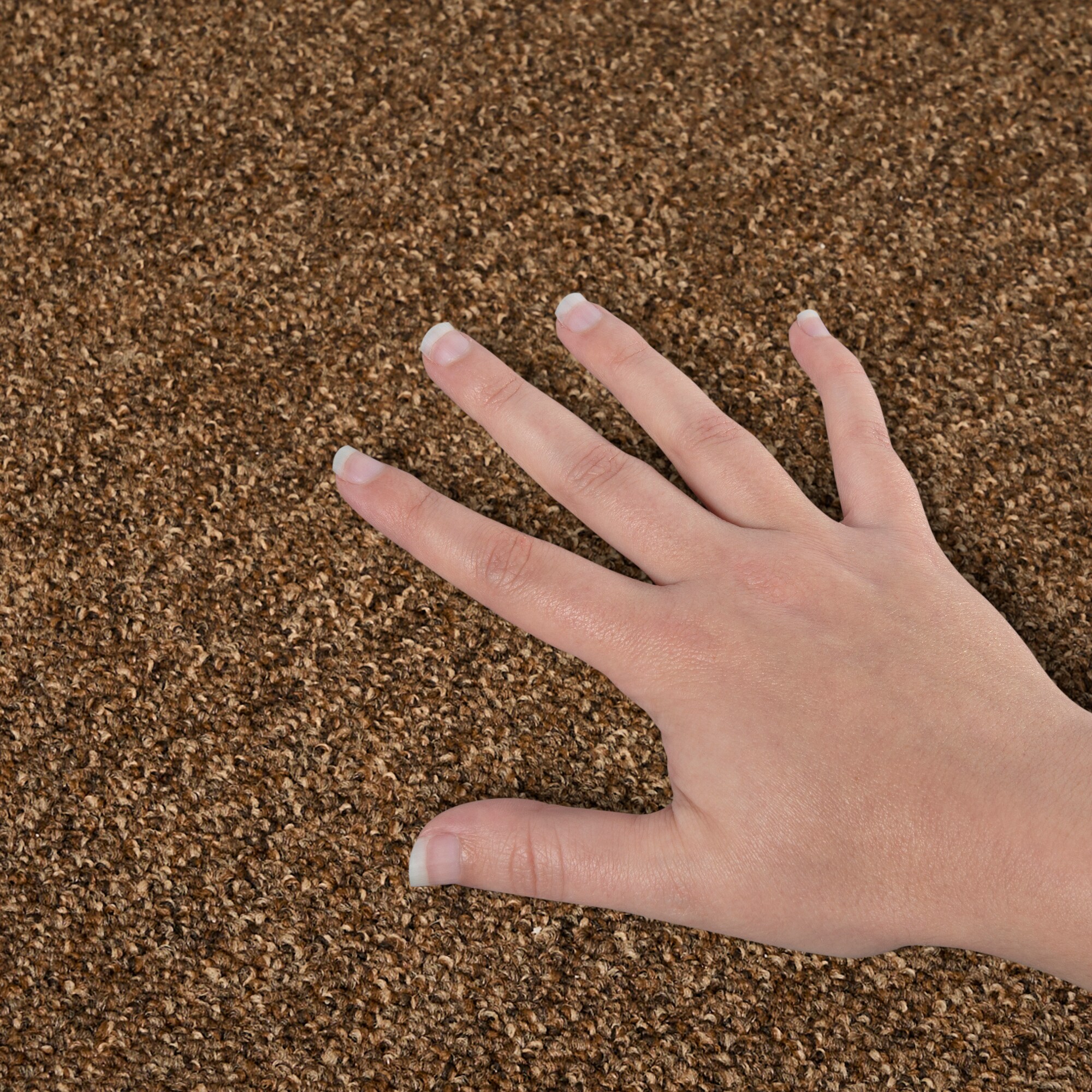  LC77-12-L006 Carpet-Panel - View #4
