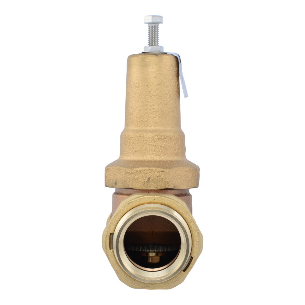 Cash Acme PVA41M-DUTH-60 Pressure-Relief-Valves-Regulators - View #2