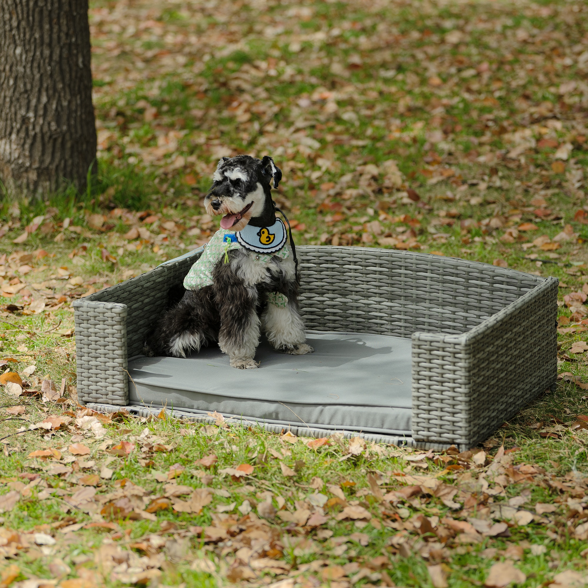 Gaierptone CRX05Z6LHF8 Pet-Beds - View #3
