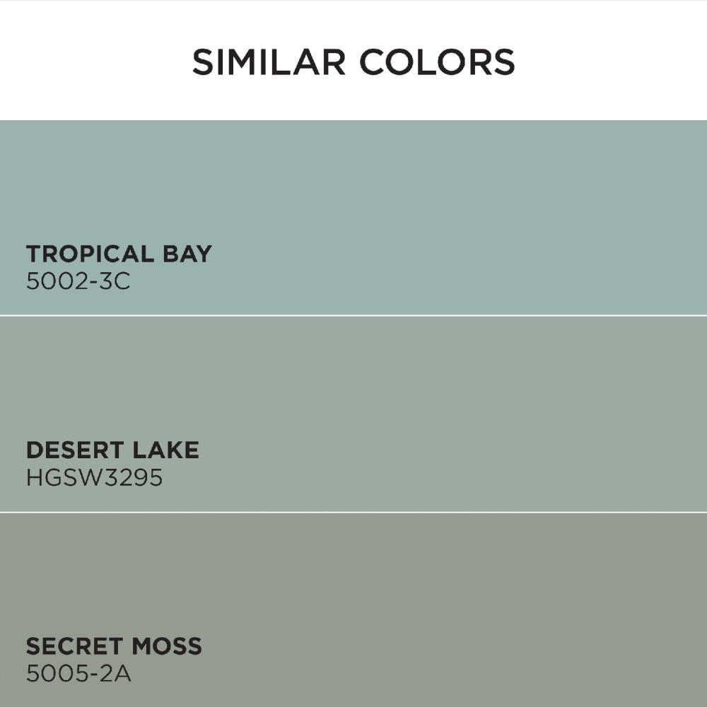 HGTV HOME by Sherwin-Williams 5002-4A-2557208 Int-Ext-Paint - View #6