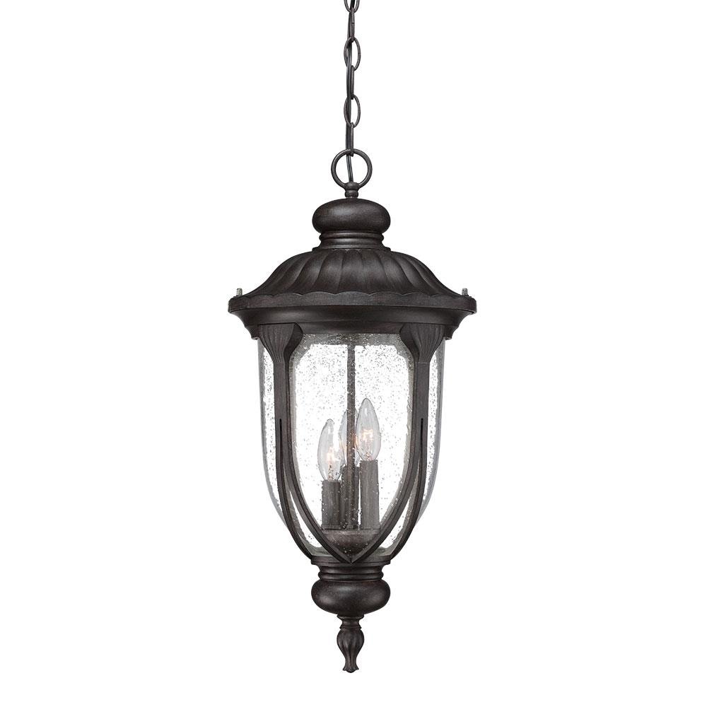 Acclaim Lighting Laurens Matte Black Traditional Seeded Glass Lantern ...