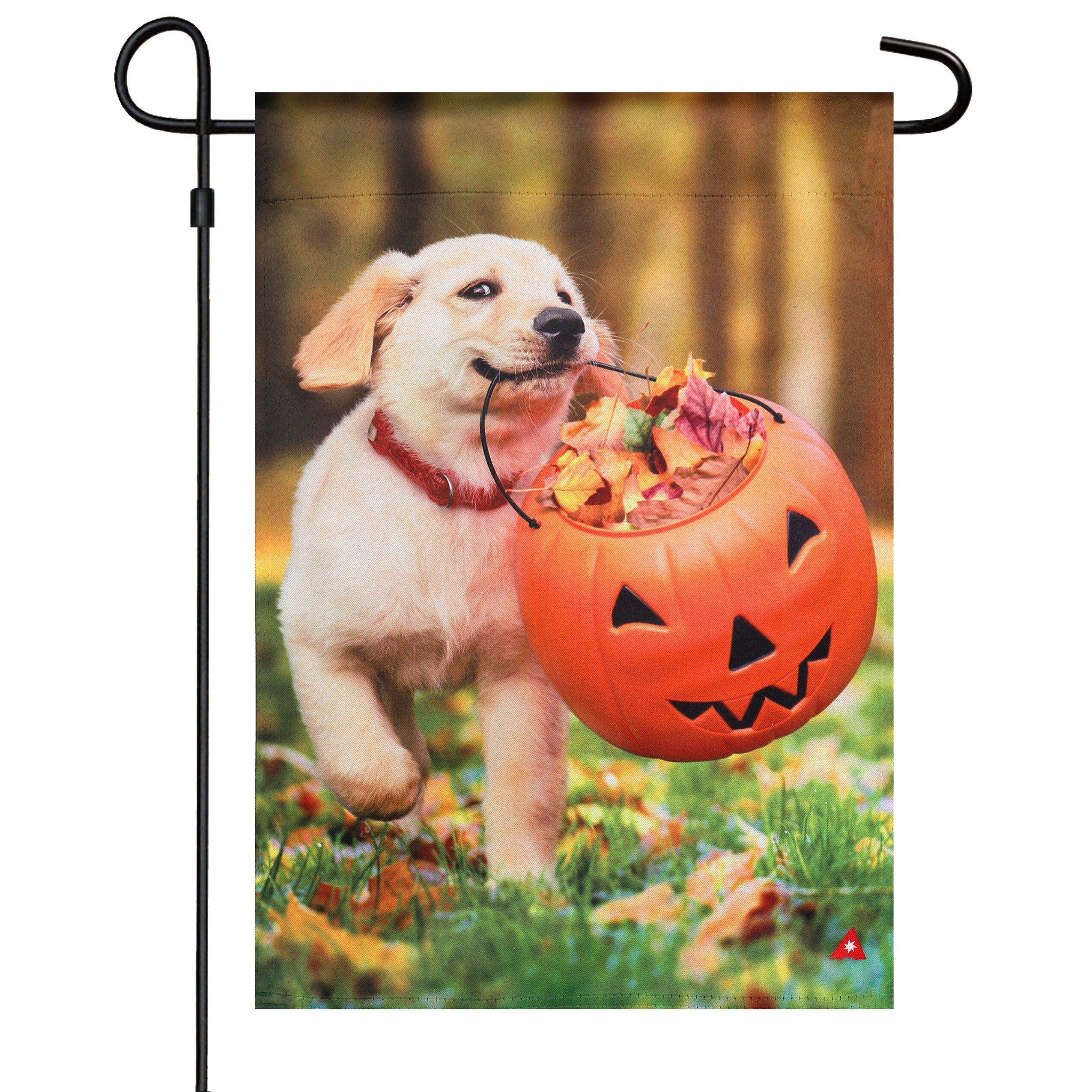 Style Selections ZLW14S10492 Decorative-Banner-Flags - View #3