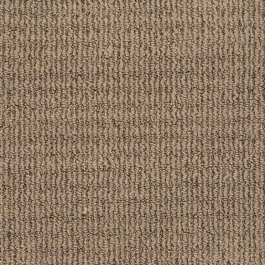 STAINMASTER TruSoft Unequivocal Serene Brown Carpet Sample at Lowes.com