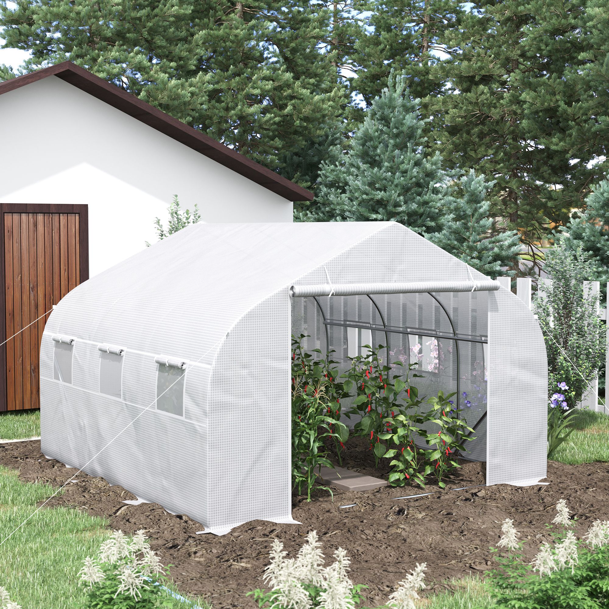 Tatayosi RY-217787 greenhouses - View #9
