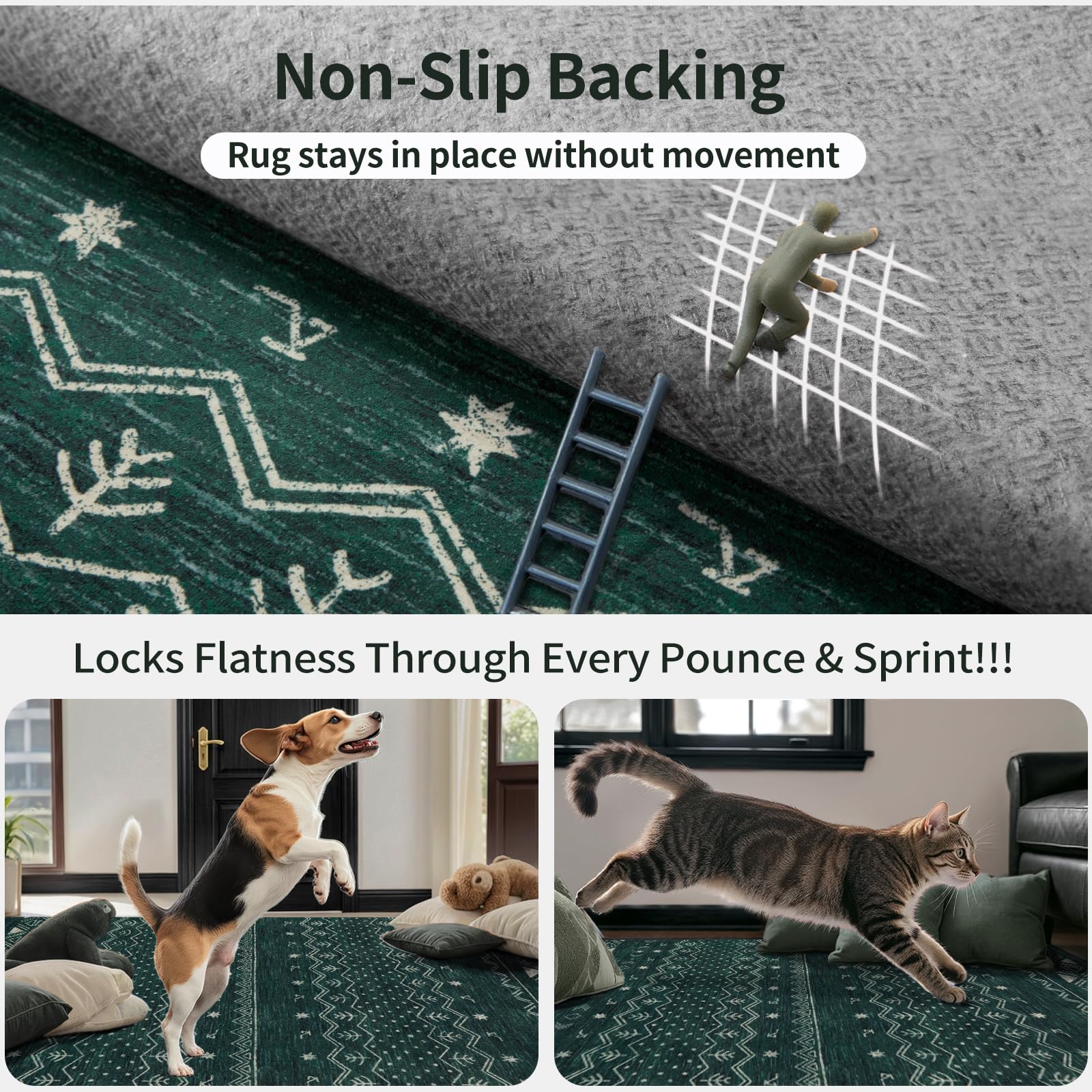 OMOMMD 5749848216260 rugs - View #5