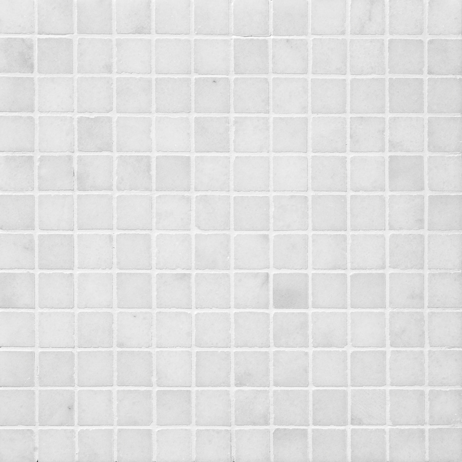 Marble Systems MS00697 NBS Avalon 2-in x 12-in Polished Natural Stone Marble Uniform Squares Floor and Wall Tile (6-sq. ft/ Carton)