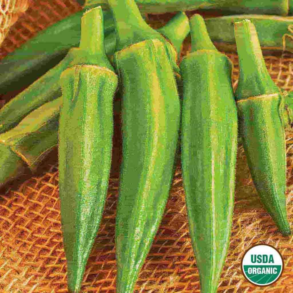 Ferry-Morse LC25.1404 Vegetable-Herb-Seeds - View #3