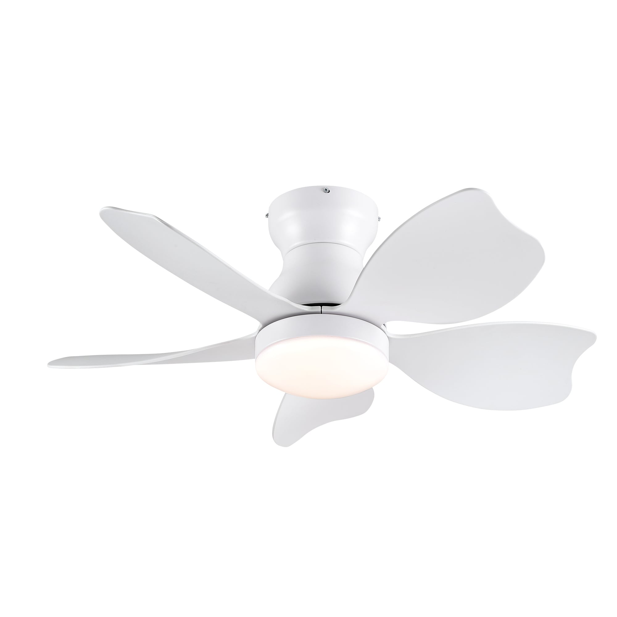 BABOOM BOM-7103341-OR Ceiling-Fans - View #6