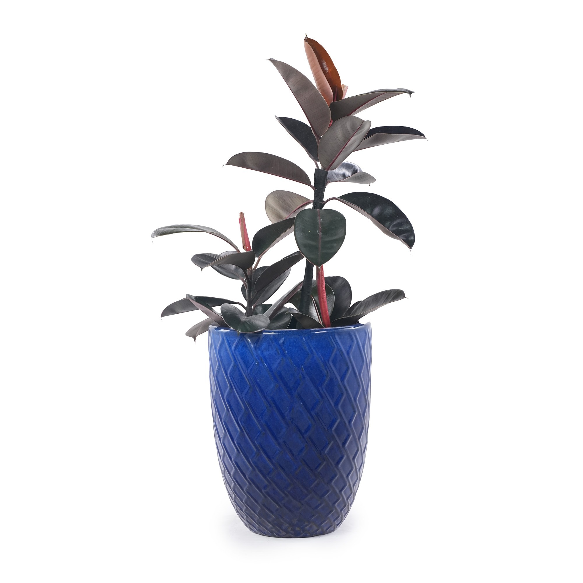 HyperDrop Cart W-W3273P326365 Planter-Window-Box - View #4