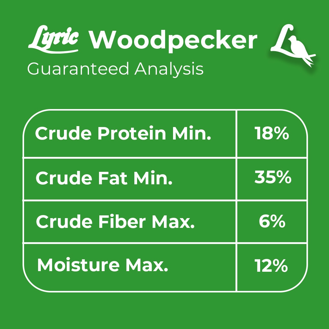 Lyric 2647334 Bird-Squirrel-Food - View #6