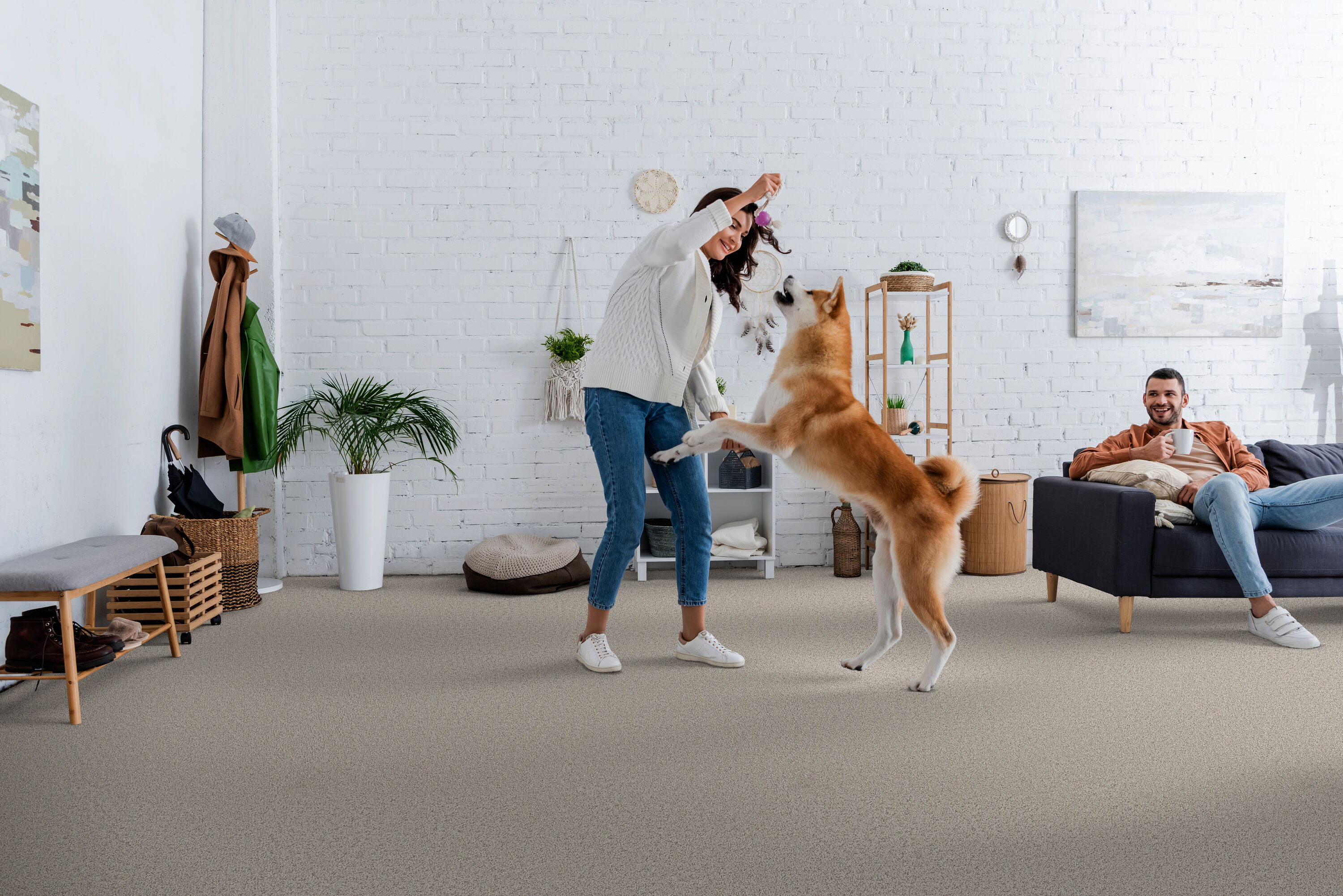 STAINMASTER PetProtect 7L884 - 503 - SAMP Carpet-Samples - View #3