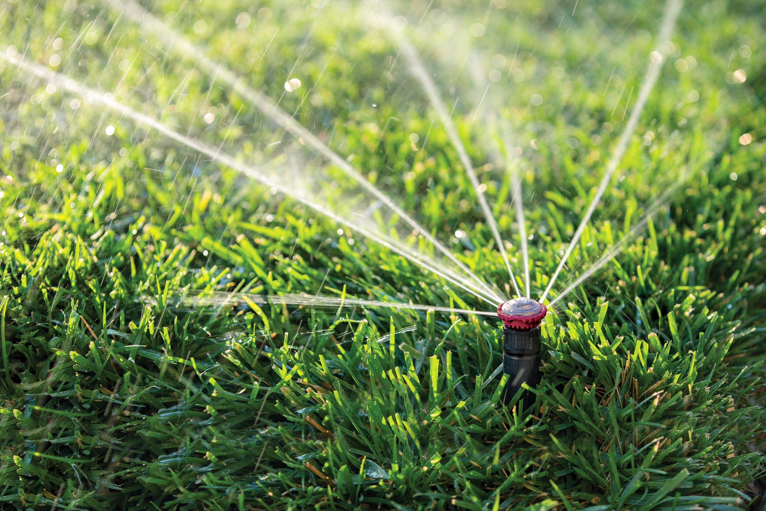 Rain Bird 22SARVAPRO Underground-Sprinklers - View #6