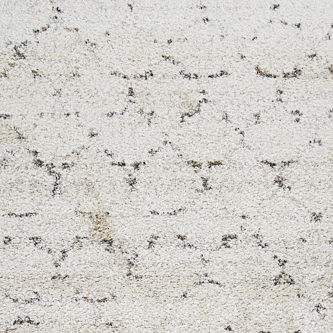Bromley Multicolor Shag Wool Blend 2' x 3'11" Area Rug