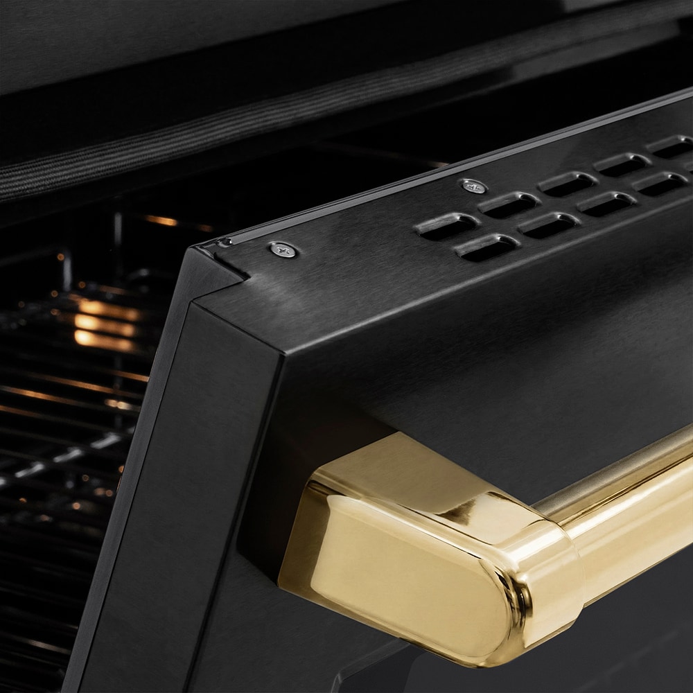 ZLINE KITCHEN & BATH SINRBZ-24-G Induction-Ranges-Cc - View #8