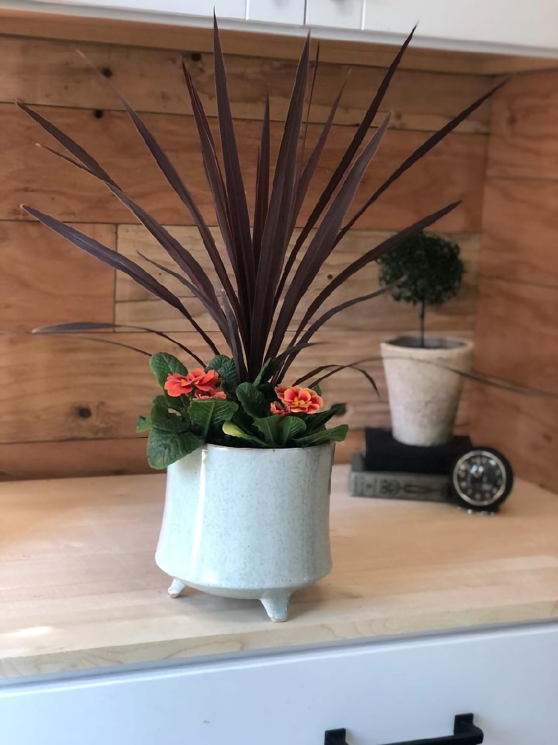  2230 perennials - View #3