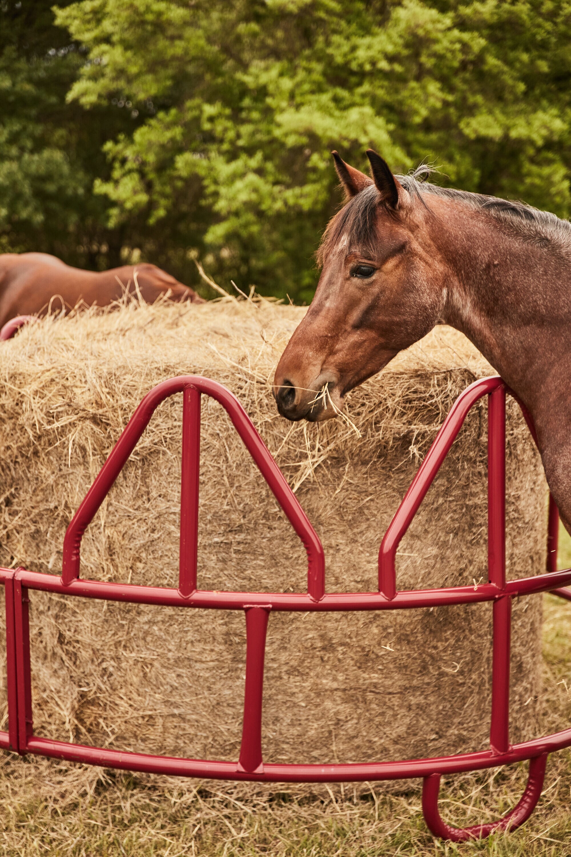 Tarter RHFO Farm-Ranch-Feeders - View #2