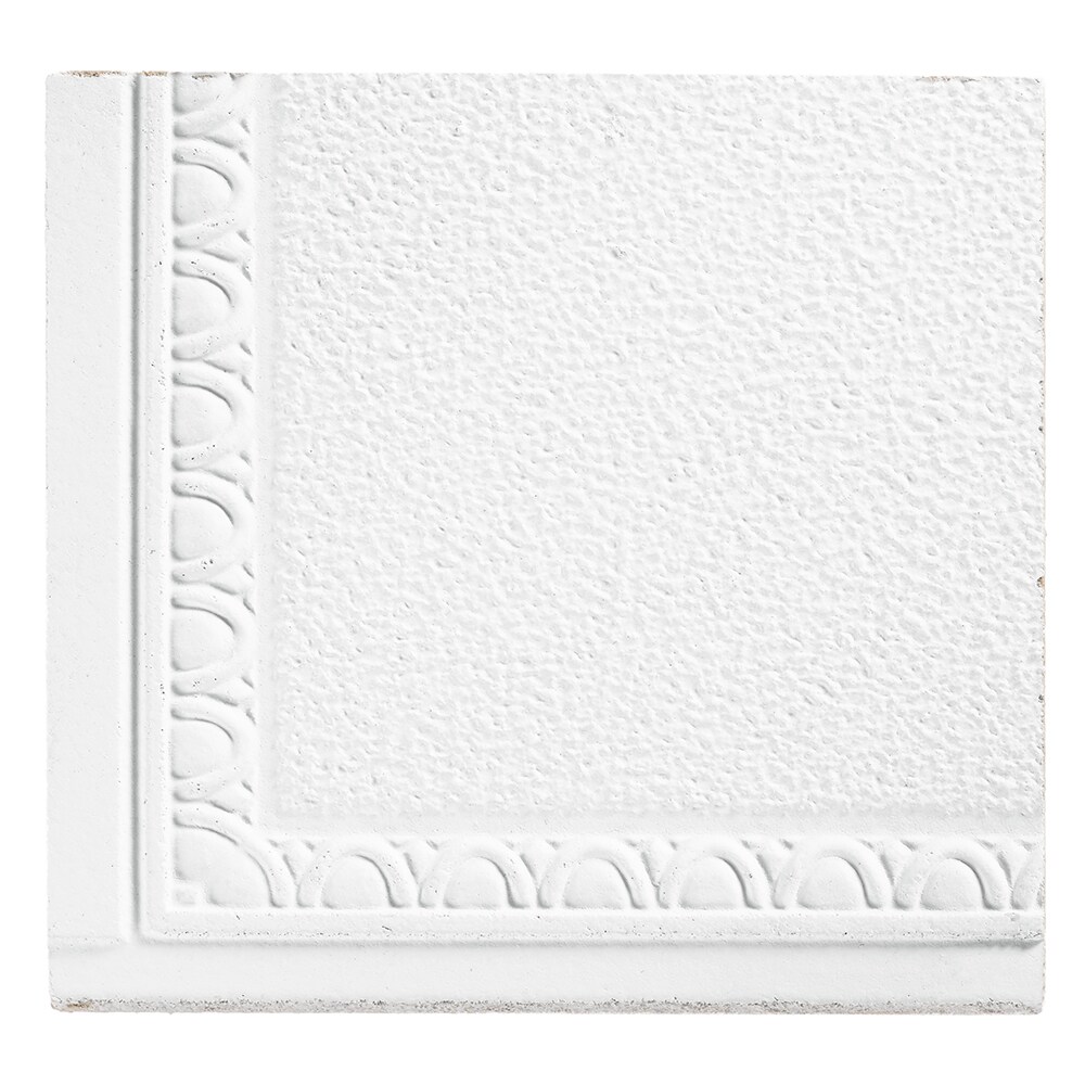 Armstrong Ceilings Scalloped White Mineral Fiber Drop Ceiling Tile Sample