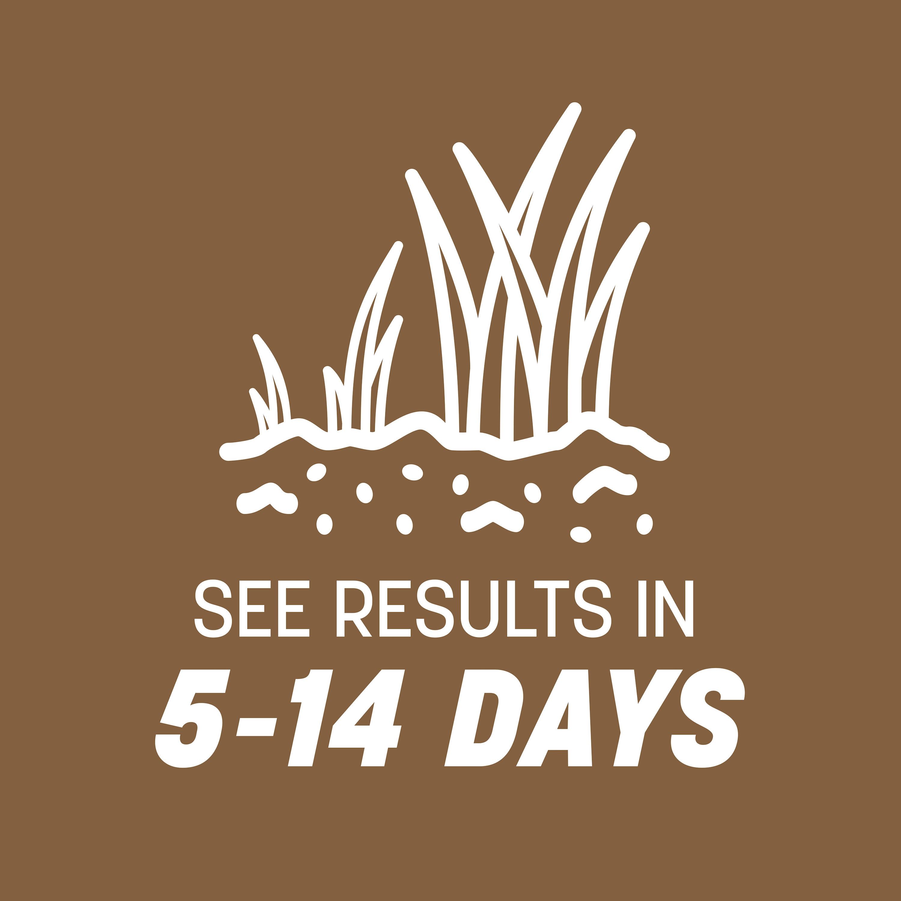 Pennington 2149602015 Lawn-Repair-Mix - View #8