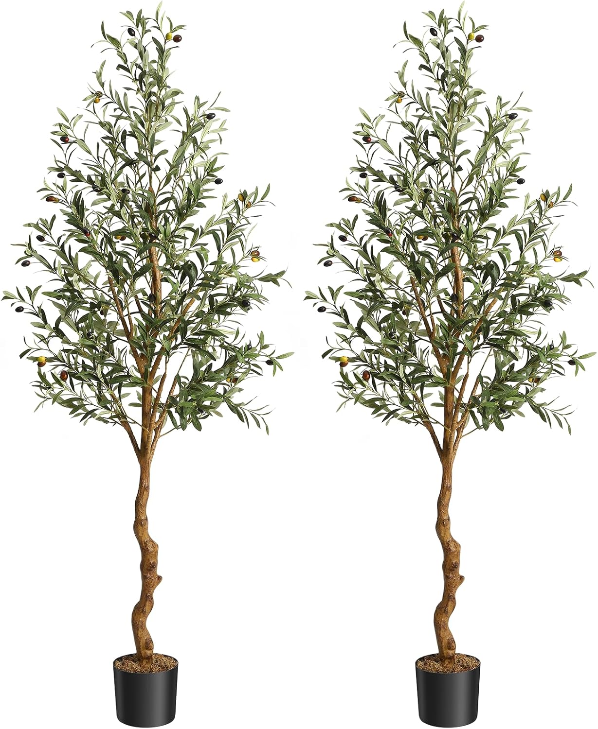 Der Rose 6 ft Artificial Olive Tree Indoor Tall Faux Olive Tree with Moss Black Nursery Pot Artificial Silk Plant Designed Faux Wood Trunk and Realistic Fruit Perfect for Home Office Decor Gift 2 Pack