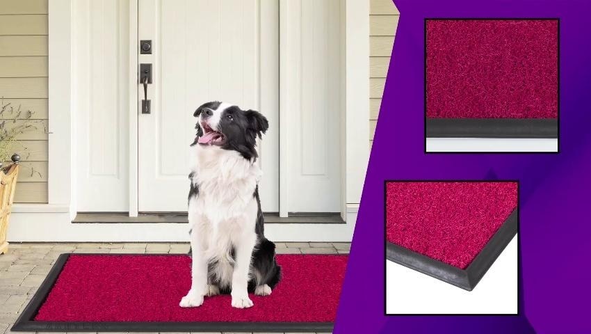 A thumbnail for the video