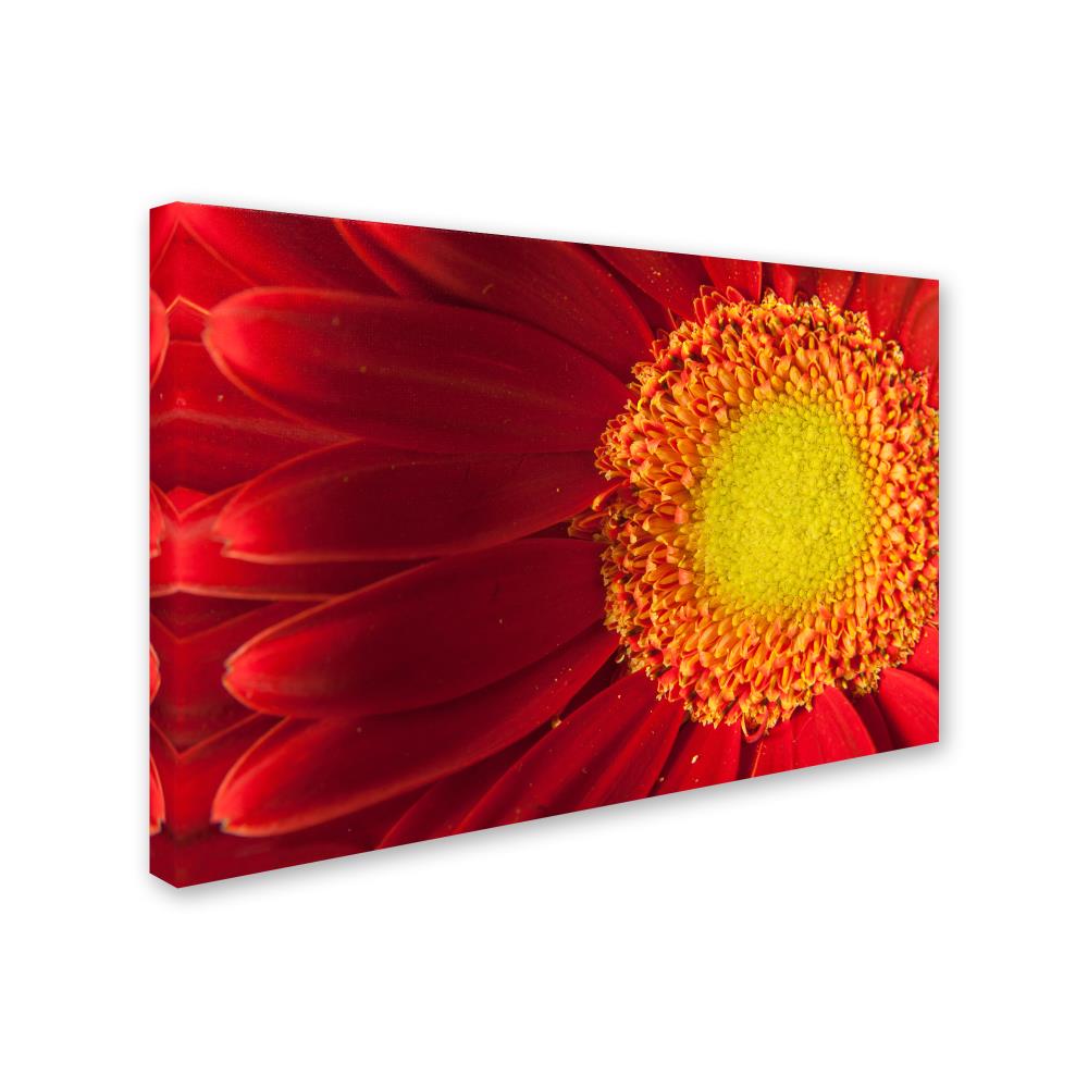 Trademark Fine Art MFG0035-C1624GG Wall-Art - View #2
