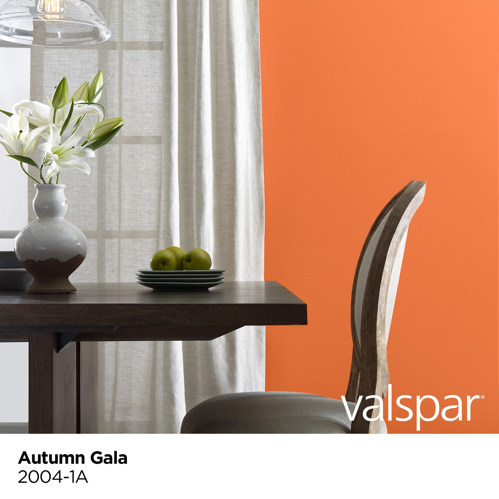 Valspar 2004-1A-28328 Int-Ext-Paint - View #3