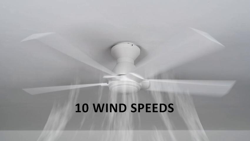 A thumbnail for the video