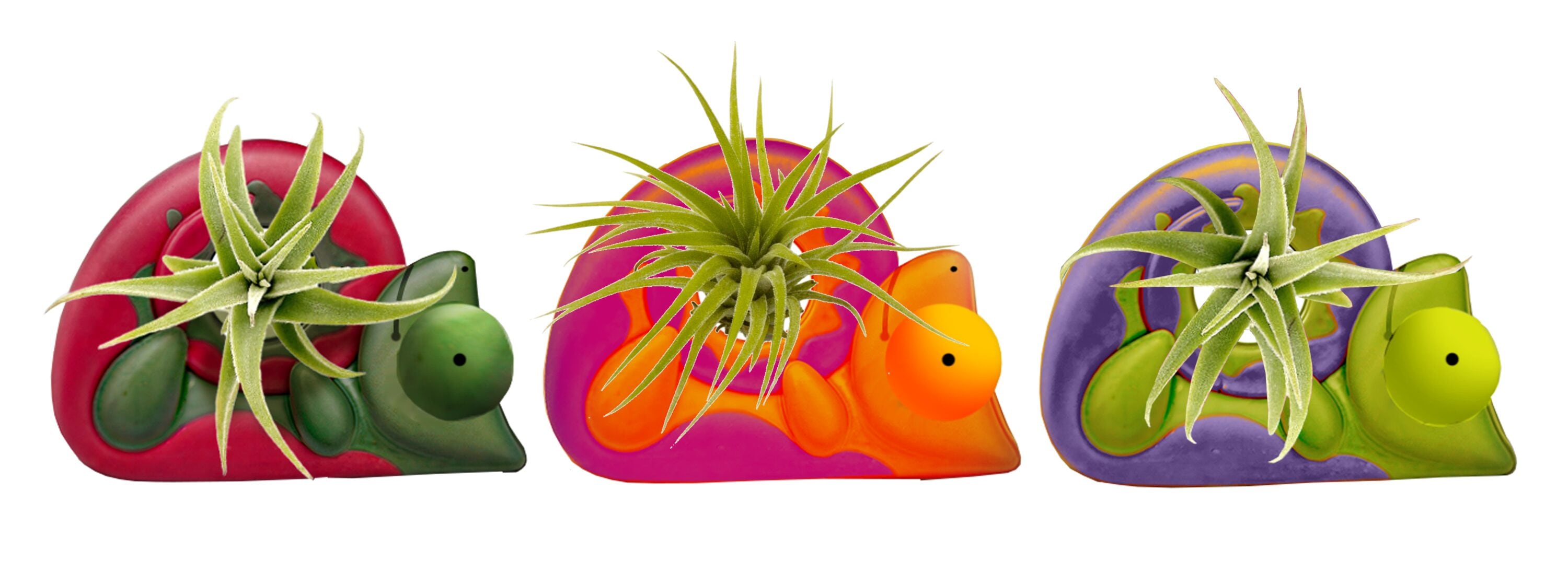 LiveTrends ASB08103 Karma House plant in 1 -Pack Pot 1 -Pack