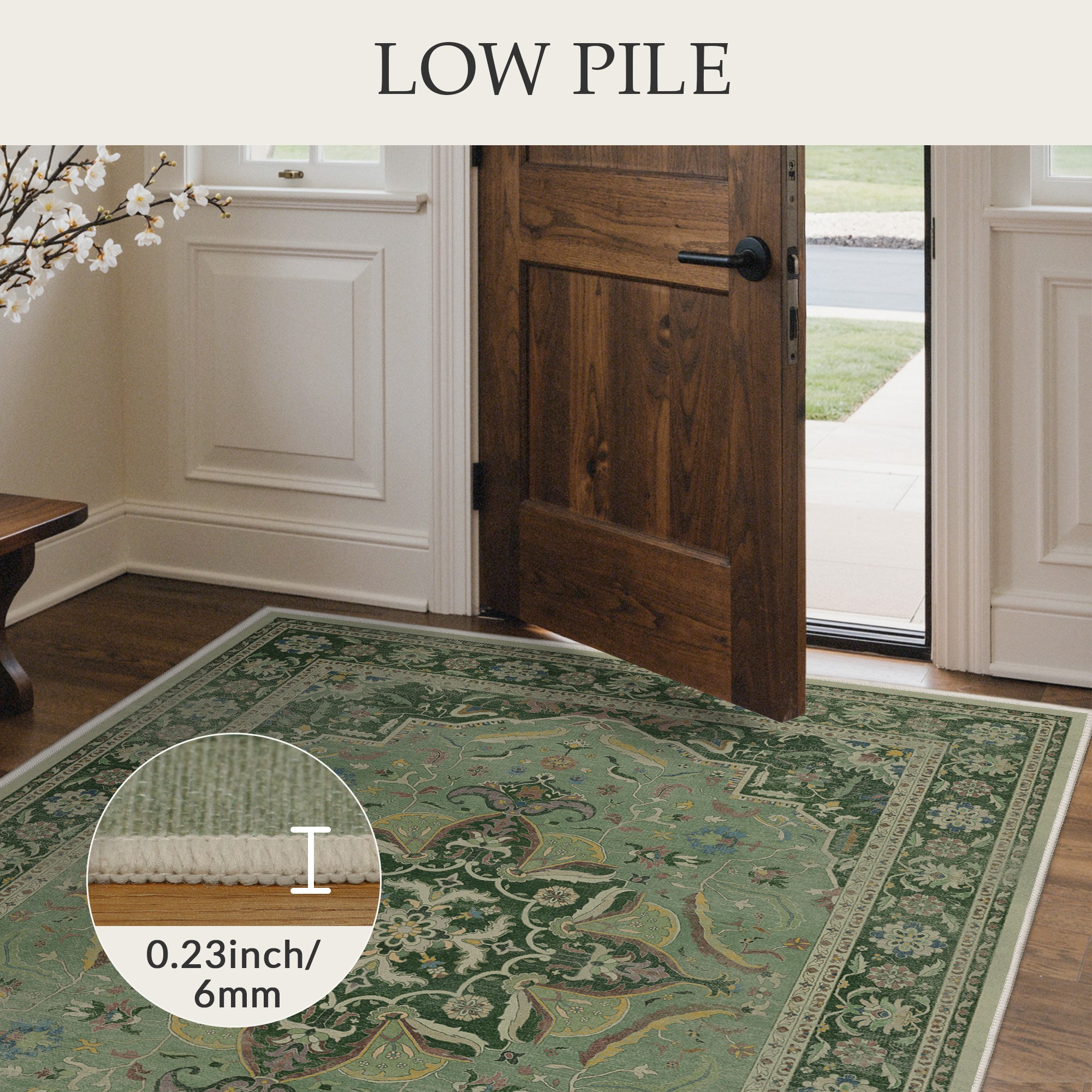 BAVNI TZ3005-SAGE-2X7 rugs - View #5