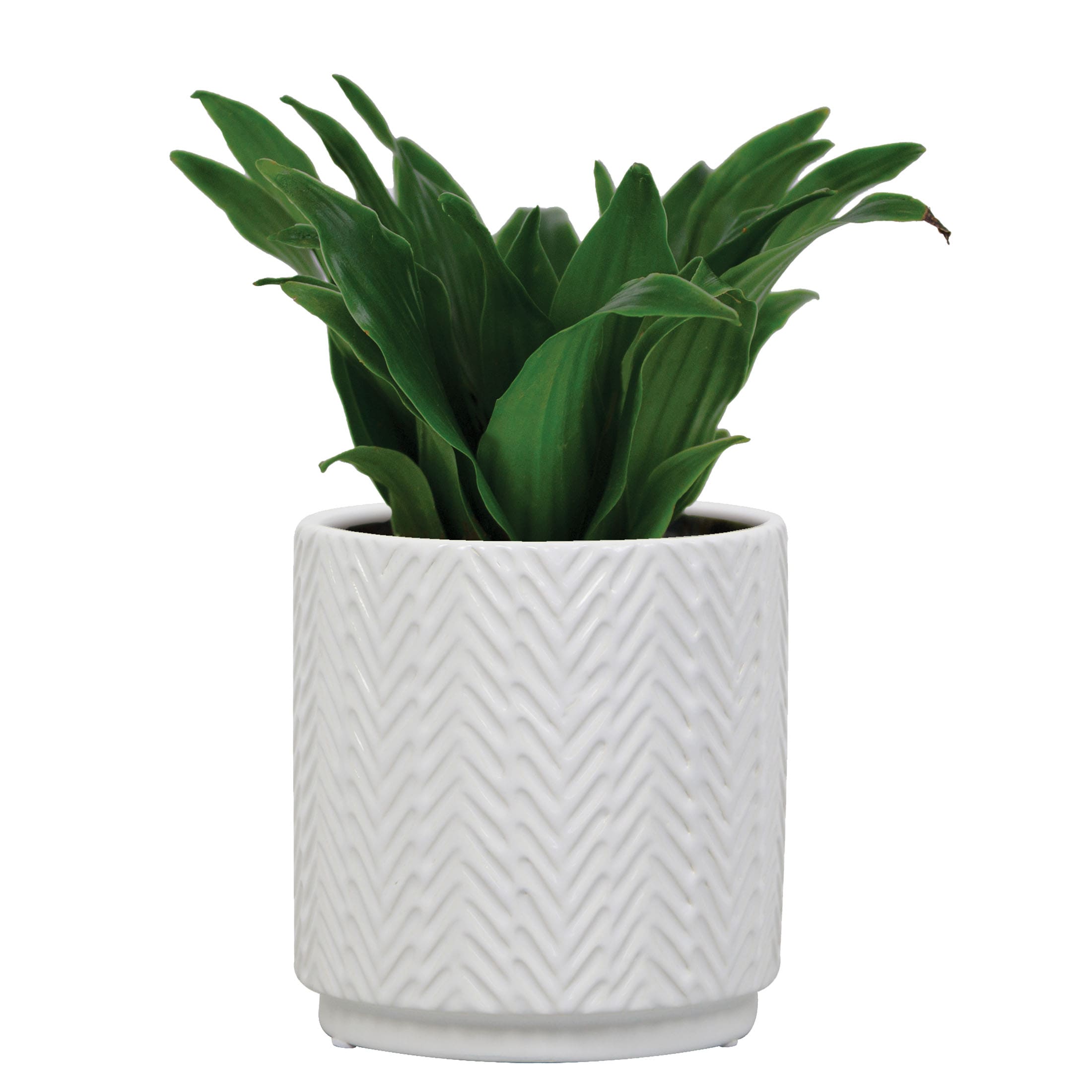 allen + roth CR01894N-05W Planter-Window-Box - View #3